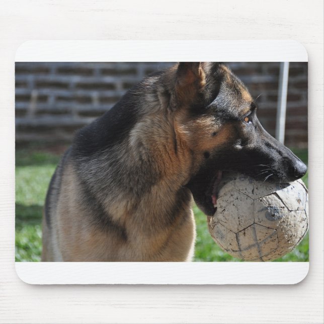 tysk schäferhund med leksak musmatta (Framsidan)