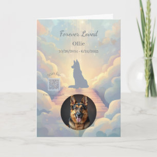 Tysk Schäferhund Rainbow Bridge Sympatikort Kort