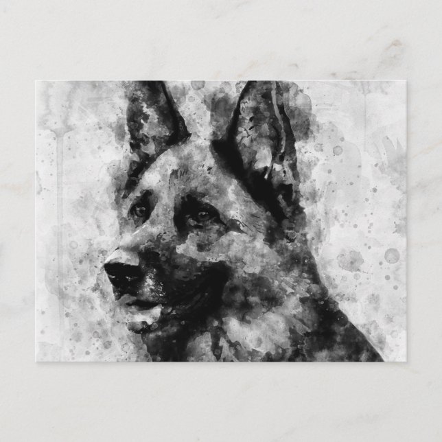 Tysk Schäferhund svart och vit akvarell  Vykort (Framsida)