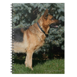 Tysk Schäferhund Uppvisning Anteckningsbok