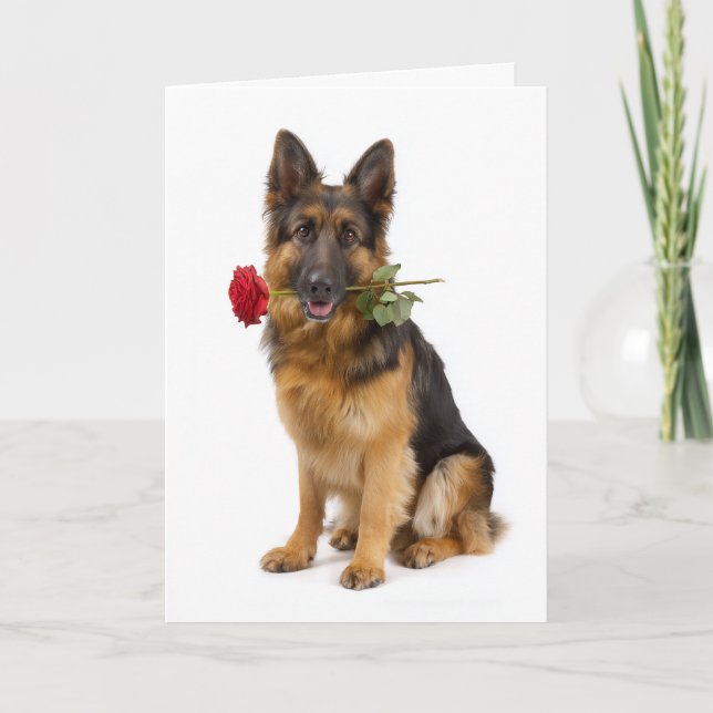 Tysk Schäferhund Valentine – Hängiven kärlek Kort (Framsida)