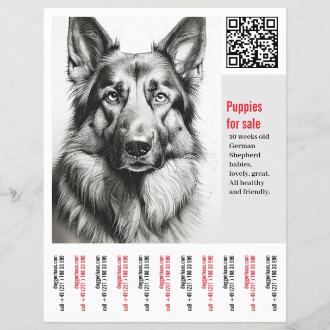 Tysk Schäferhundsflyer Reklamblad (Framsidan)