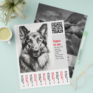 Tysk Schäferhundsflyer Reklamblad