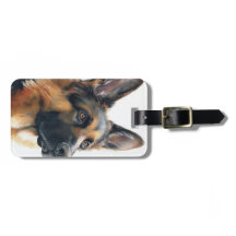 Tysk schäferporträtt akvarell