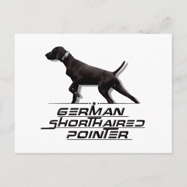 Tysk schorthar Pointer Tapestry Square - etikett Vykort (Framsida)
