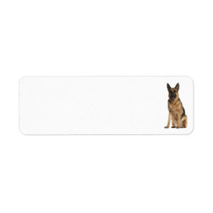 Tysk shepherd Address Label Returadress Etikett