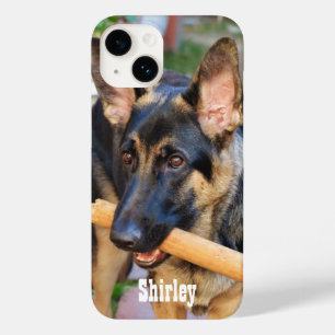 Tysk Shepherd by Shirley Taylor