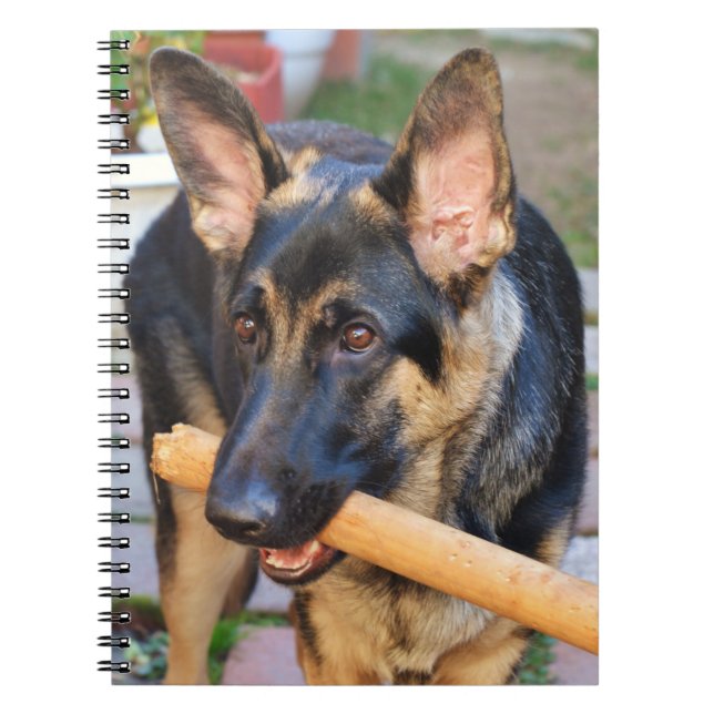 Tysk Shepherd by Shirley Taylor Anteckningsbok Med Spiral (Framsidan)