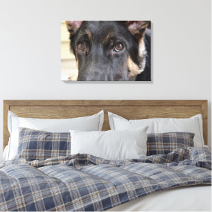 Tysk Shepherd by Shirley Taylor Canvastryck