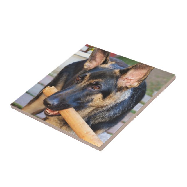 Tysk Shepherd by Shirley Taylor Kakelplatta (Sidan)