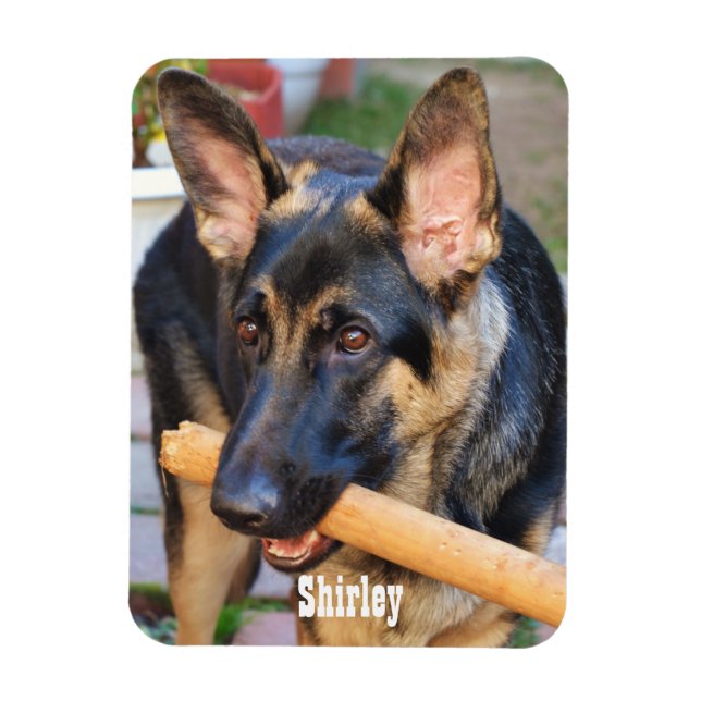 Tysk Shepherd by Shirley Taylor Magnet (Vertikal)