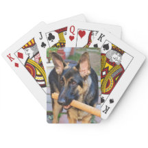 Tysk Shepherd by Shirley Taylor