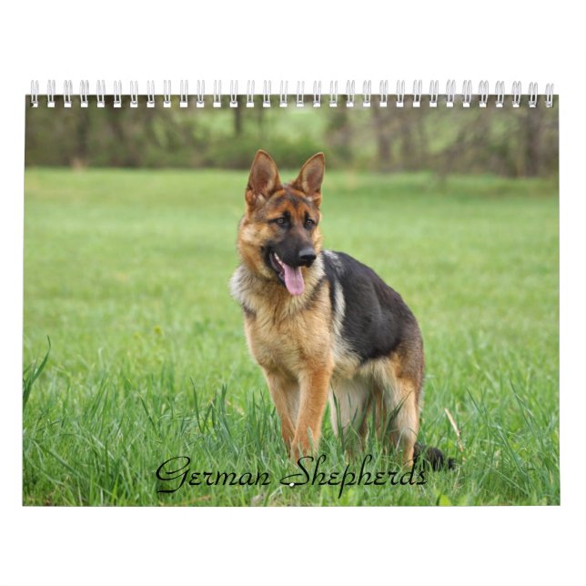 Tysk Shepherd Calendar Kalender (Omslag)