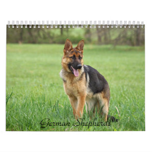 Tysk Shepherd Calendar Kalender