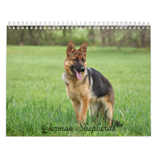Tysk Shepherd Calendar Kalender