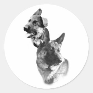 Tysk Shepherd Charcol 2 - Sticker Runt Klistermärke