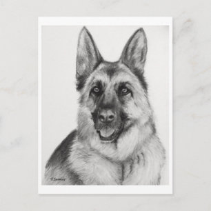 Tysk Shepherd Fine Art Vykort