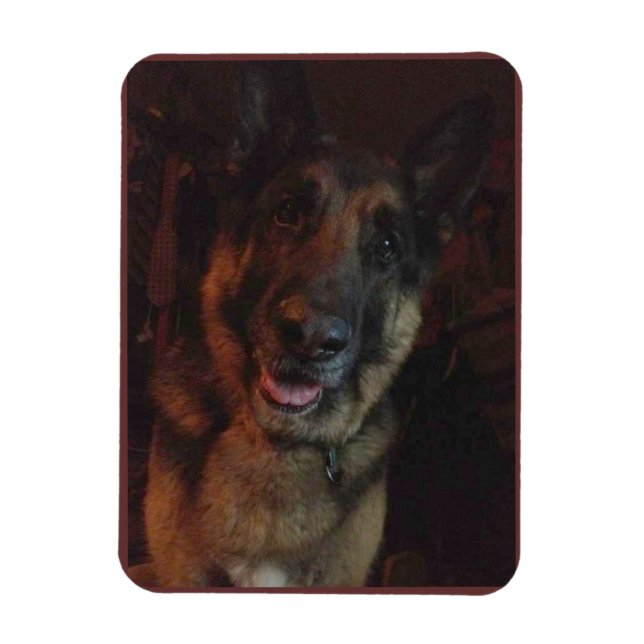 Tysk Shepherd Fridge magnet (Vertikal)