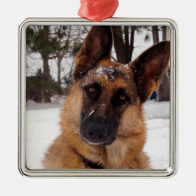 Tysk Shepherd Helgdag Ornament (Framsidan)