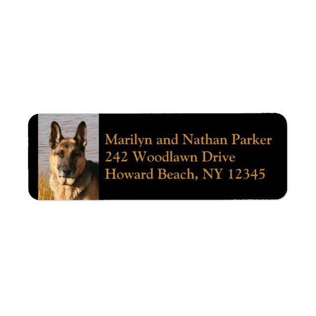 Tysk Shepherd Hund Ansikte Return-adressetikett Returadress Etikett (Framsidan)