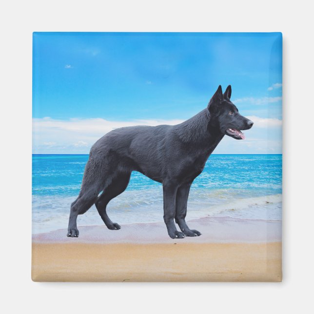 Tysk Shepherd Hund Beach Porträtt Magnet (Framsidan)