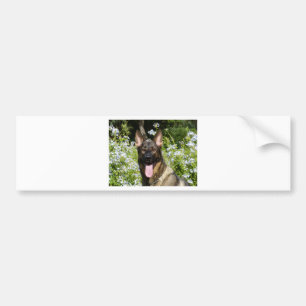 Tysk Shepherd Hund Bildekal