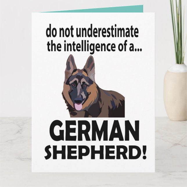 Tysk Shepherd Hund Birthday German Shepherd Kort (Framsida)