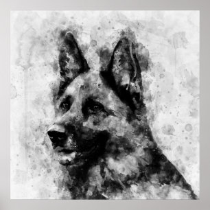 Tysk Shepherd Hund Black and White Watercolor Poster