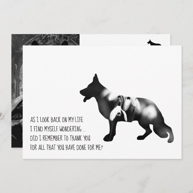 Tysk Shepherd hund Black Tack Kort (Fram/baksida)