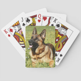 Tysk Shepherd Hund Casinokort