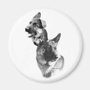 Tysk Shepherd Hund Charcol 2 Magnet