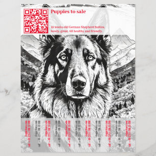 Tysk Shepherd Hund Flyer