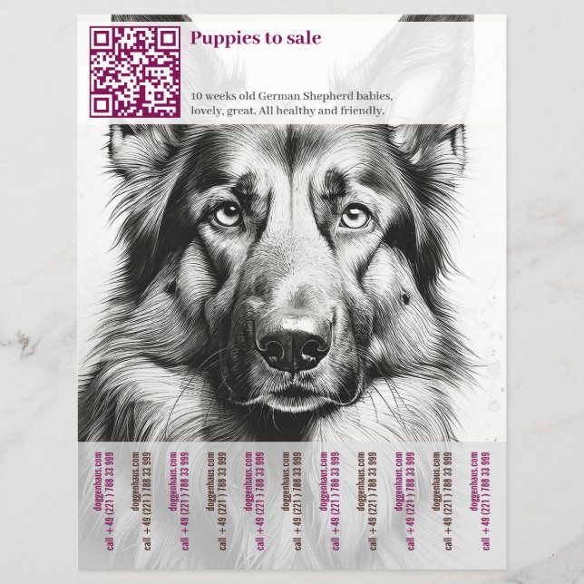 Tysk Shepherd Hund Flyer (Framsidan)