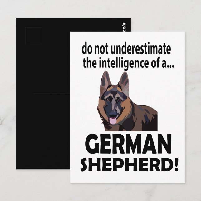 Tysk Shepherd Hund Pet German Shepherd Vykort (Fram/baksida)