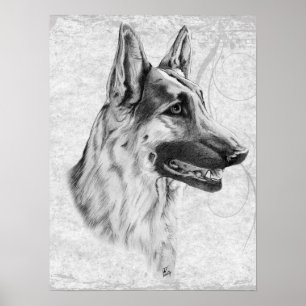 Tysk Shepherd Hund Poster