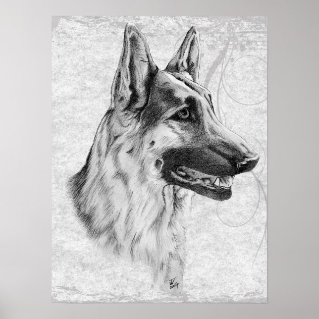 Tysk Shepherd Hund Poster (Framsidan)