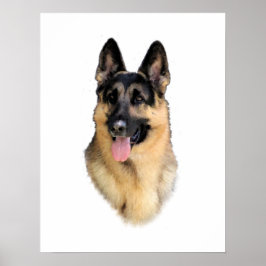 Tysk Shepherd Hund Poster