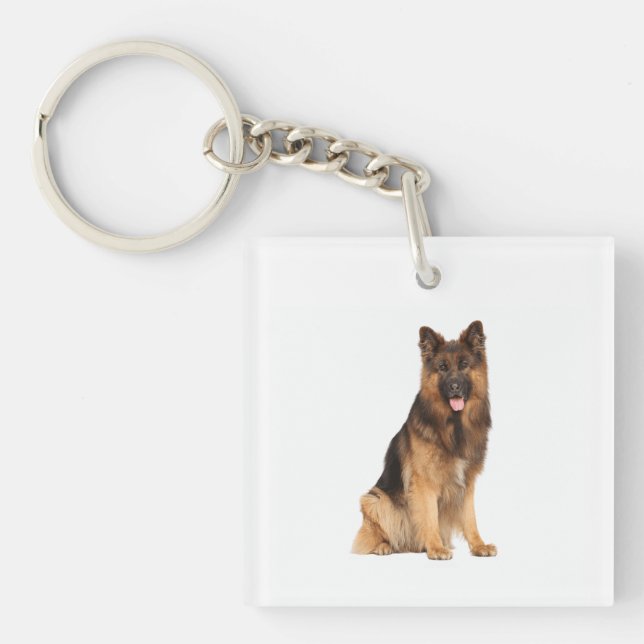 Tysk Shepherd-hund, rak utformning. (Framsidan)