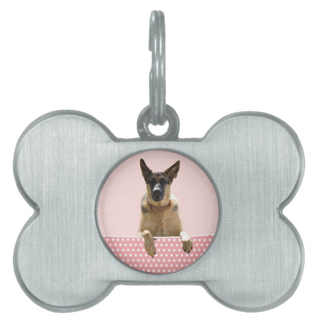 Tysk Shepherd Hund Rosa Polka dots Namnbricka Husdjur (Framsidan)