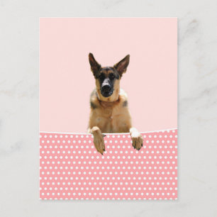 Tysk Shepherd Hund Rosa Polka dots Vykort
