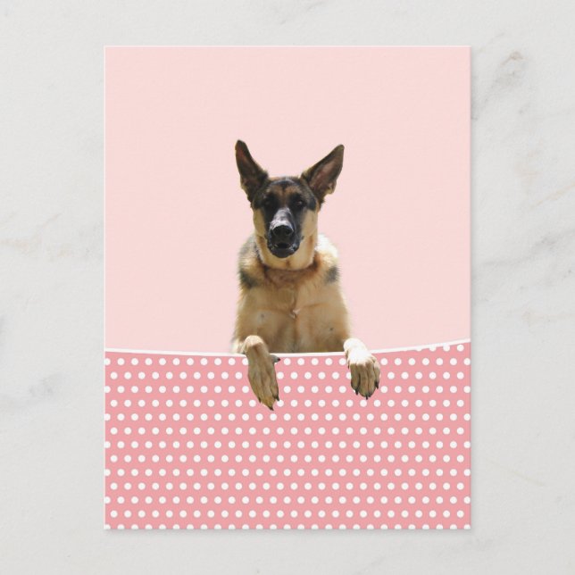 Tysk Shepherd Hund Rosa Polka dots Vykort (Framsida)