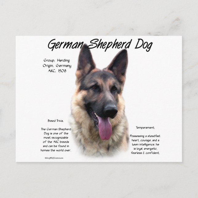 Tysk Shepherd-Hund (sable) Historikdesign Vykort (Framsida)