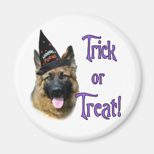 Tysk Shepherd Hund (sable) Trick Magnet