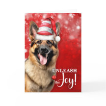 Tysk Shepherd Hund Släpp loss jultomten