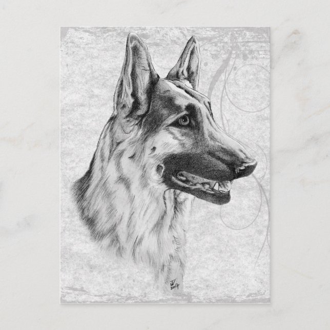 Tysk Shepherd Hund Vykort (Framsida)