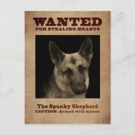 Tysk Shepherd Hund Vykort