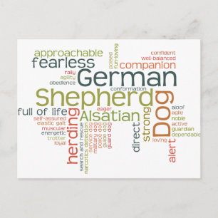 Tysk Shepherd Hund Vykort