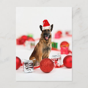 Tysk Shepherd hund w jul Gifts Santa Hat Helg Vykort