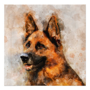 Tysk Shepherd Hund Watercolor Porträtt 04 Fototryck