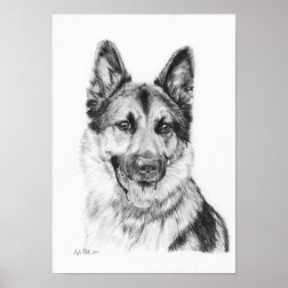 Tysk Shepherd in Graphite Print Poster